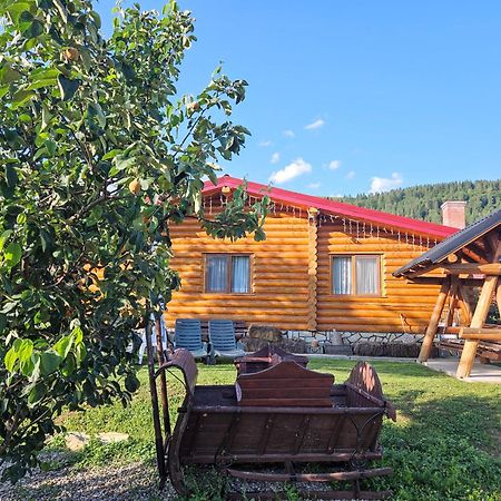 Cabana Alesia, Relaxare La Poalele Raraului Câmpulung Moldovenesc Esterno foto