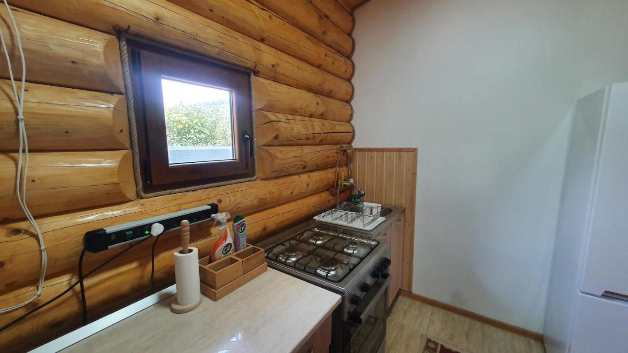 Cabana Alesia, Relaxare La Poalele Raraului Câmpulung Moldovenesc Esterno foto