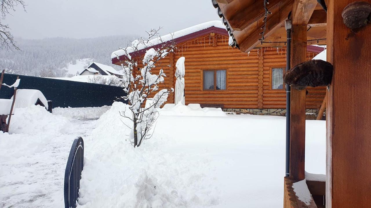 Cabana Alesia, Relaxare La Poalele Raraului Câmpulung Moldovenesc Esterno foto